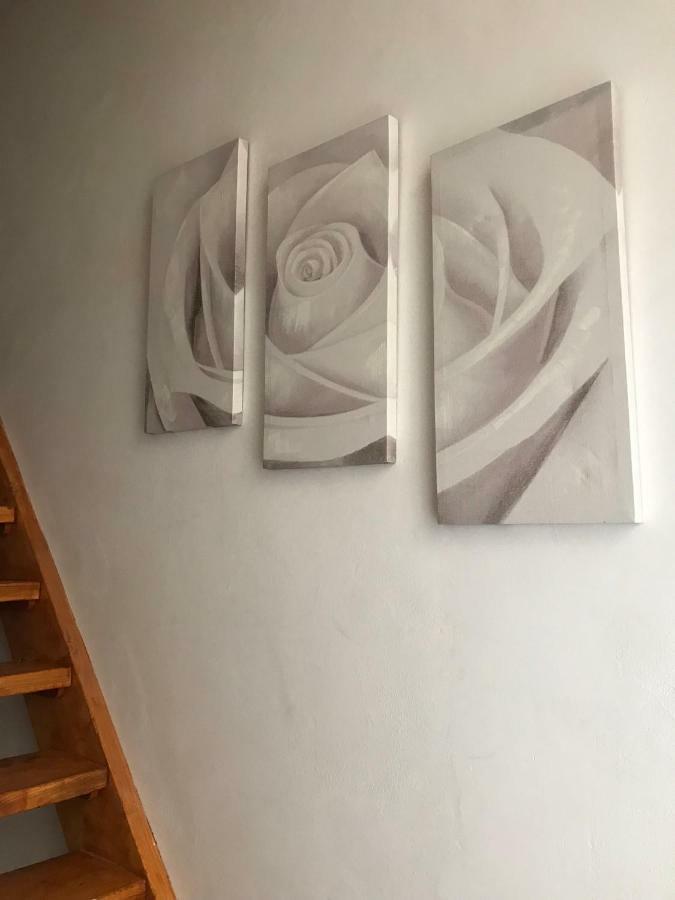 Il Nido - Cozy Studio Apartment In Santa Croce Флоренция Екстериор снимка